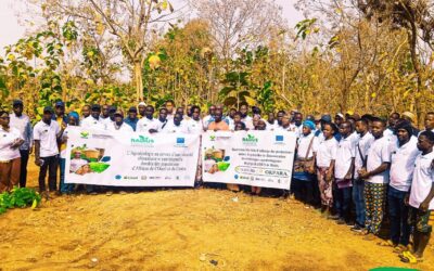 Bénin – Okpara : l’agroécologie reprend racine