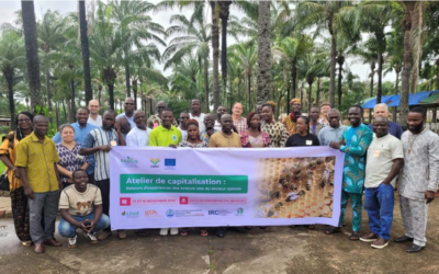 RADiUS Bénin : l’apiculture et les pollinisateurs au cœur de la transition agroécologique